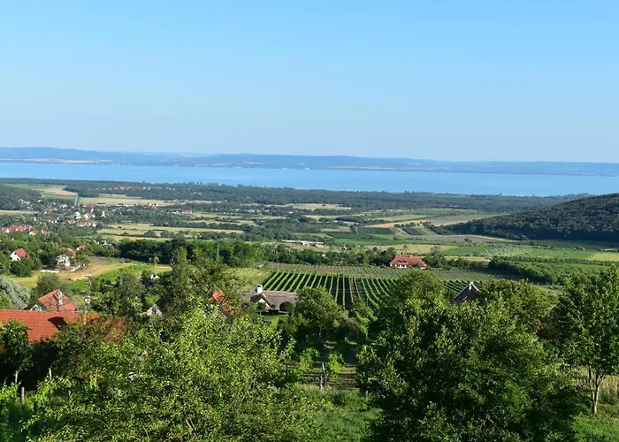 Panorama Borbirtok