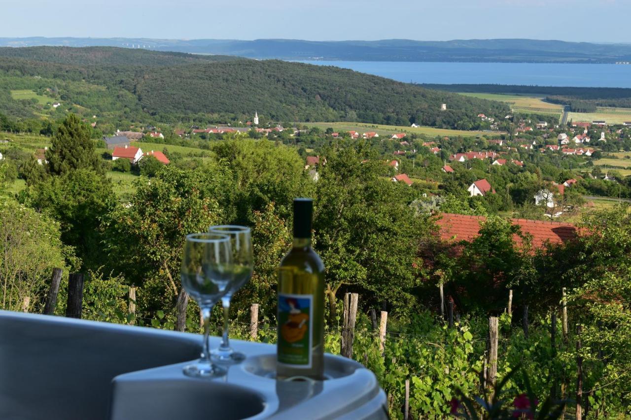 Panorama Borbirtok Mencshely
